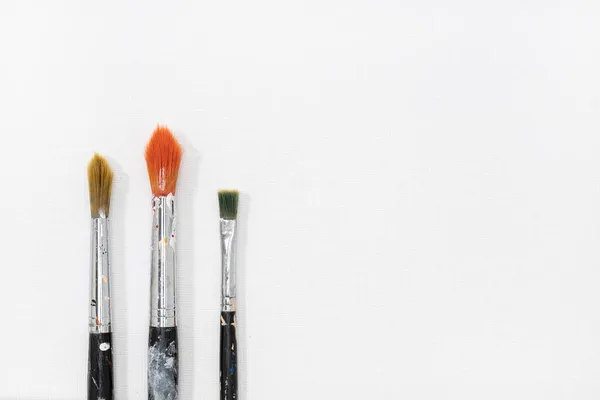 Three Paintbrushes White Canvas Background Copy Space — Stock Photo, Image