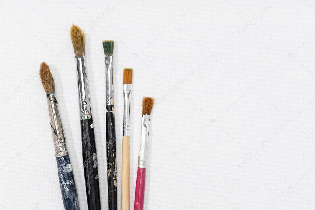 Group of paintbrushes on white canvas background. Copy space