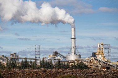 Duman ve istiflenmiş kütükler yayan endüstriyel ağaç fabrikası. FINSA fabrikası, Santiago de Compostela, İspanya