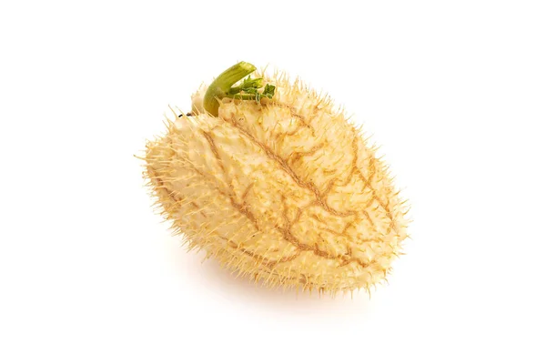 Espinhoso Chayote Squash Frutas Isoladas Fundo Branco Sechium Edule — Fotografia de Stock