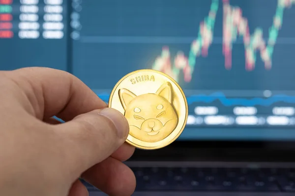 Hand Holding Shiba Coin Chart Laptop Display Background Cryptocurrency Trading — Stock Photo, Image