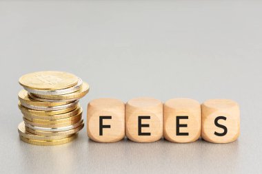 Kripto para harcı konsepti. Şifreli paralar ve tahta bloklar dolusu metin. Boşluğu kopyala
