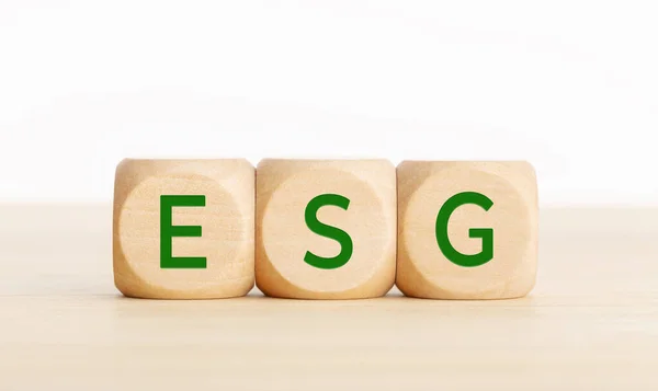 Esg Word Wooden Cube Environmental Social Governance Copy Space — Stock Photo, Image