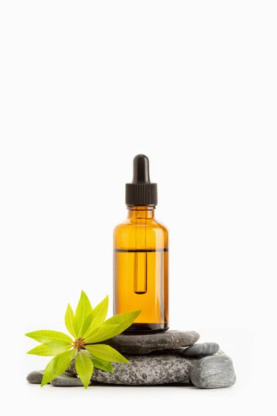 Herbal Essential Oil Amber Bottle Isolated White Background Copy Space — 스톡 사진