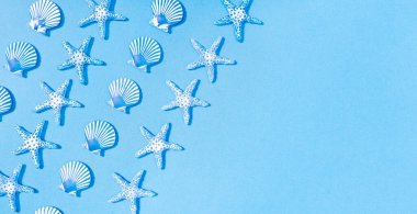 Dekoratif cam deniz kabuğu desenli ve fotokopi alanı olan mavi yaz arka planı. Deniz yıldızı, deniz kabuğu, deniz tarağı.