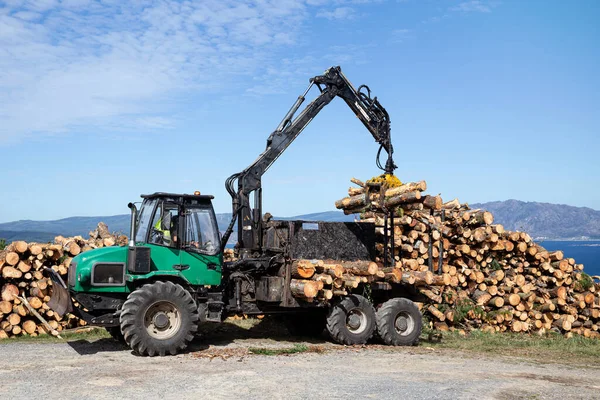 Forest log truck tree harvester unloading tree logs. Forest industry