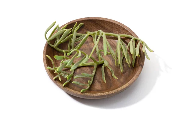 Fresh Sea Fennel Leaves Wooden Plate Isolated White Background Crithmum — Zdjęcie stockowe