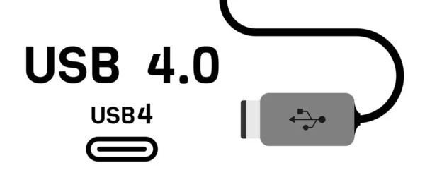 Usb4 Usb Plug Cable Icon Flat Vector Illustration — Vetor de Stock