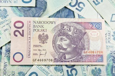 Polonya pln para birimi 20