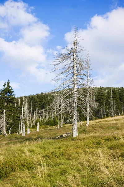 Riesengebirge — Stockfoto