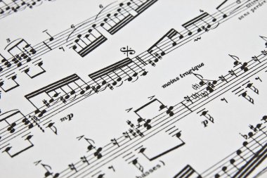 Müzik Notaları