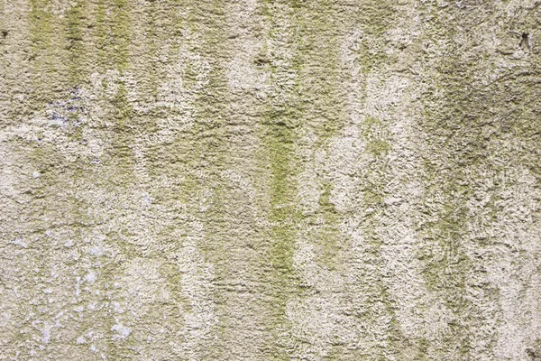 The old wall plaster — Stock Photo, Image