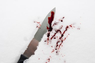 kar üzerinde kan