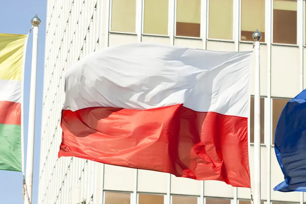 Polish flag against the sky — Stock Photo, Image