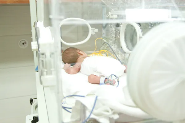 Kuluçka sıkılmış çocuklar için