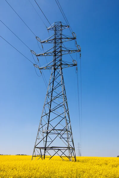 Electricity pylons in a field of rape — Stock Photo, Image