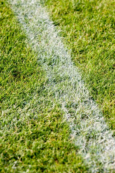 A linha na grama no campo de futebol — Fotografia de Stock