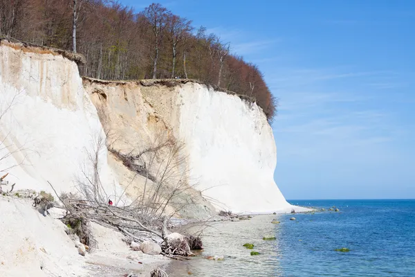 High chalk cliffs at the coast of Ruegen — Stock Photo, Image