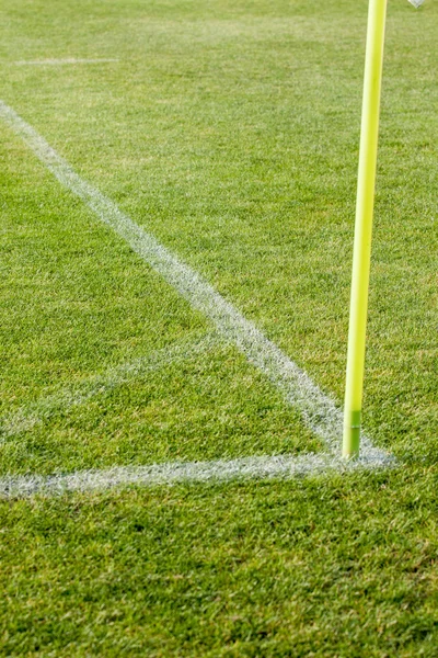 Линия на траве на футбольном поле — стоковое фото