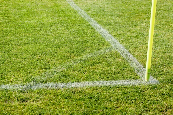 De lijn op het gras op het voetbalveld — Stockfoto