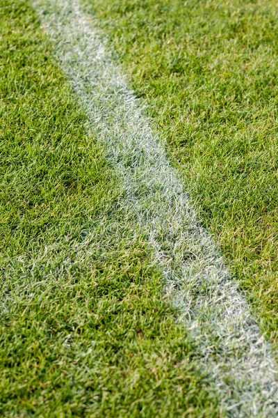 La línea en el césped en el campo de fútbol — Foto de Stock