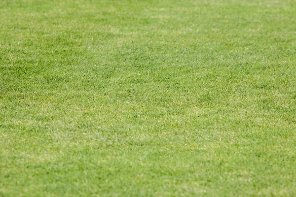 Die Linie auf dem Rasen auf dem Fußballplatz — Stockfoto