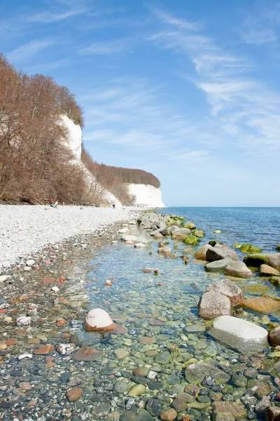 Yüksek tebeşir kayalıklarla şikayetler sahilinde — Stok fotoğraf