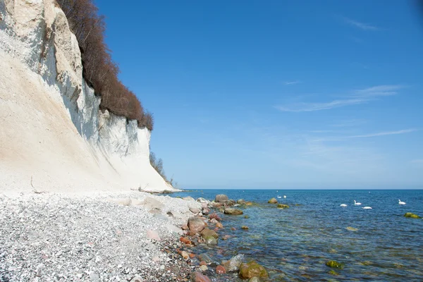 在吕根的海岸高白垩悬崖 — 图库照片