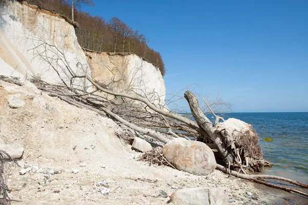 High chalk cliffs at the coast of Ruegen — Stock Photo, Image