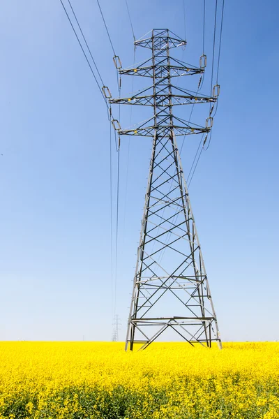 Kraftledningsstolparna i ett fält av våldtäkt — Stockfoto