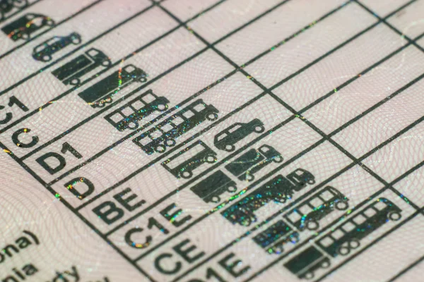 Ehliyet - belge Lehçe