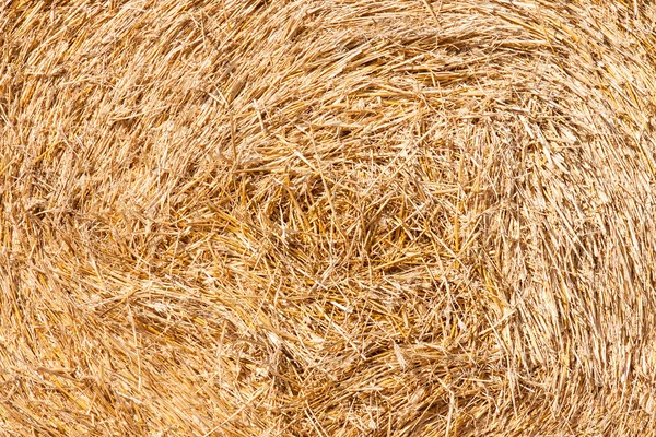 Golden hay bale collected — Stock Photo, Image