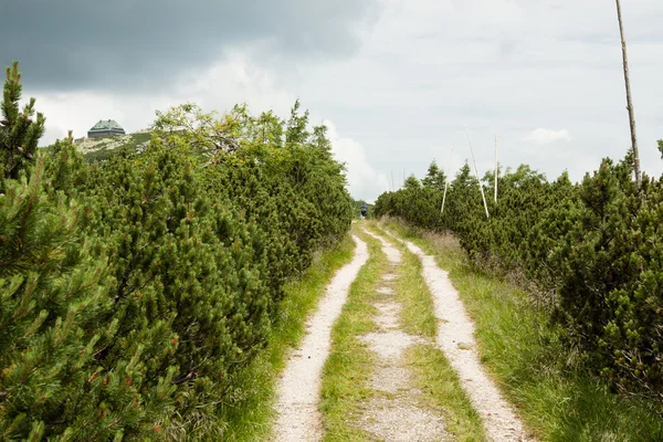 Reuzengebergte in Polen — Stockfoto