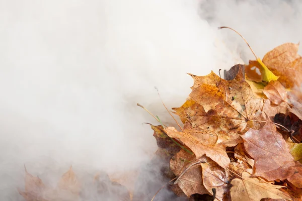 Burning of old leaves in the park — Stock Photo, Image