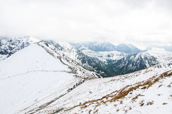 Panorama van Pools tatra gebergte — Stockfoto