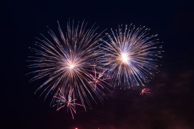 A sky lit up with fireworks.