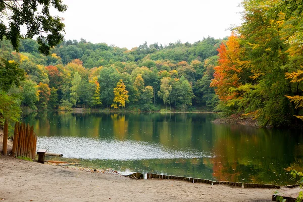 木々 の美しい秋の色 — ストック写真
