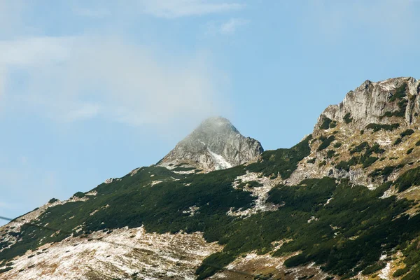 在夏天撒种 tatra 山脉 — 图库照片