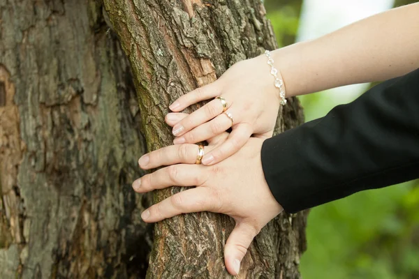 Wedding rings — Stock Photo, Image