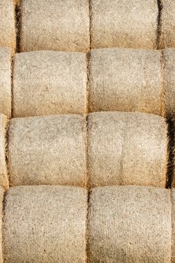 Altın saman balya toplanan