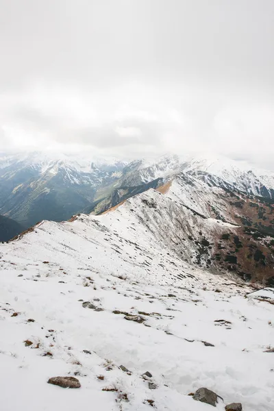 全景的波兰塔特拉山 — 图库照片