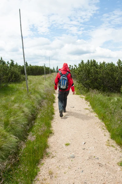 Hiking in the mountains — Stock Photo, Image