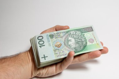 Lehçe banknot elinde tuttu