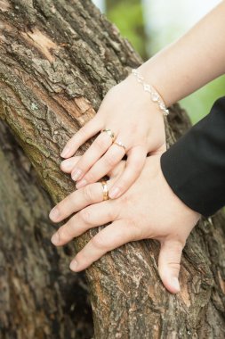 Gelin ve damat parmakları üzerinde alyans.