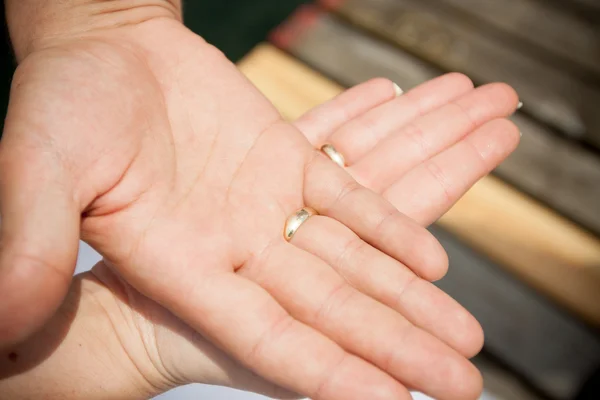 Anéis de casamento nos dedos da noiva e do noivo . — Fotografia de Stock