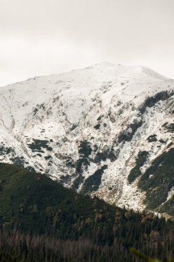 Panorama Polonya tatra Dağları