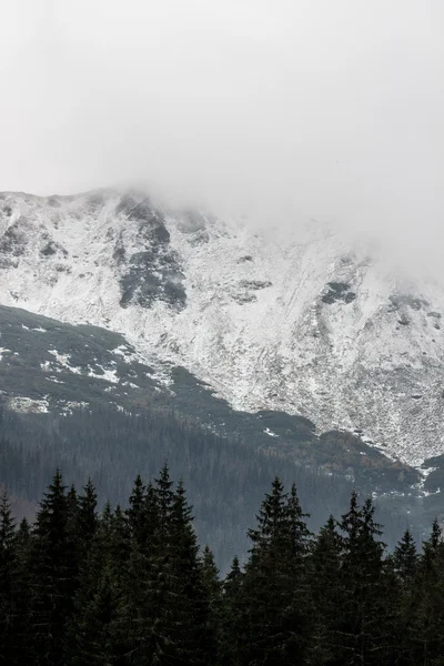 Panorama Polska Tatrabergen — Stockfoto