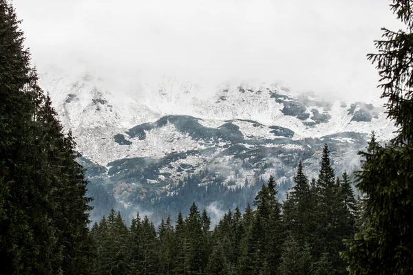 Panorama de montanhas de Tatra polonesas — Fotografia de Stock