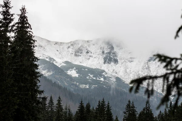 Panorama der polnischen Tatra — Stockfoto