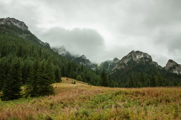 Panorama de las montañas polacas de Tatra — Foto de Stock